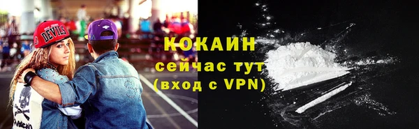 прущие грибы Беломорск