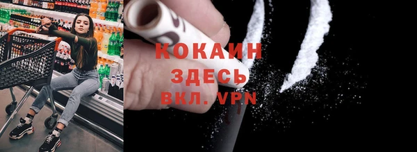 прущие грибы Беломорск