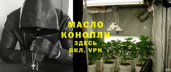 крисы Богородицк