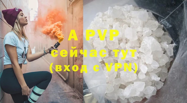 крисы Богородицк